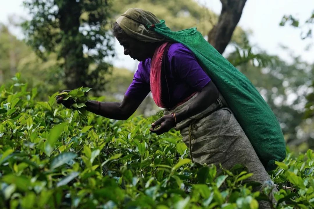 患难与共永不忘!这个国家数百人连日为中国祈福