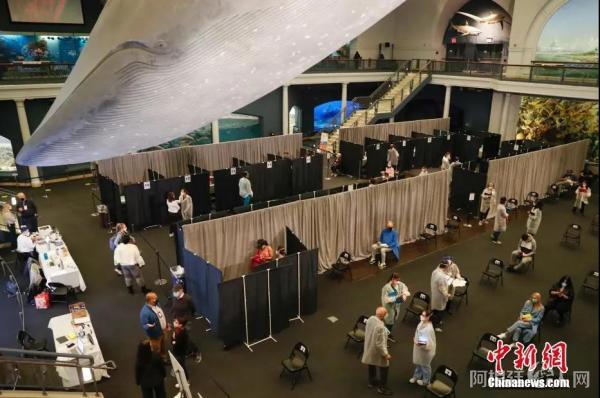 资料图：当地时间4月23日，位于纽约的美国自然历史博物馆开辟米尔斯坦海洋生物大厅为新冠疫苗接种点，为18岁以上的纽约居民接种新冠疫苗。中新社记者 谭宏伟 摄