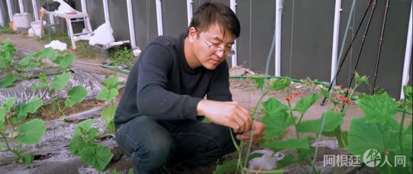 《一位北大毕业生在加拿大的种菜之路！》 视频截图