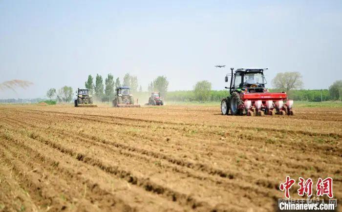 资料图:土地托管工作人员正在进行耕播作业。刘建斌 摄
资料图:土地托管工作人员正在进行耕播作业。刘建斌 摄