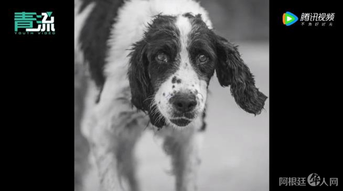 来源:视频截图 来源:视频截图