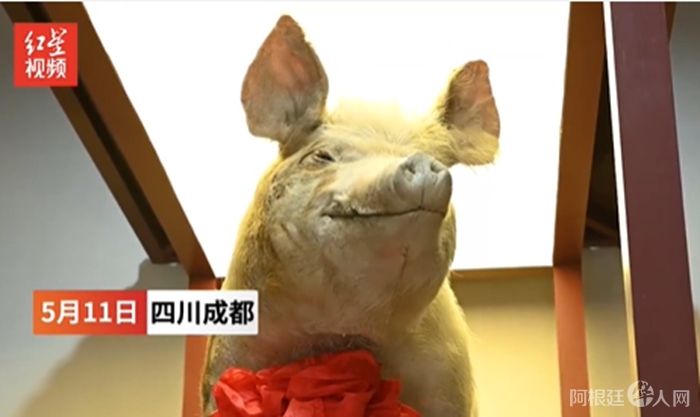 来源:视频截图 来源:视频截图