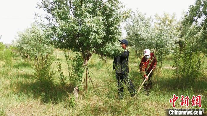 图为卢学双夫妇。 赵勇强 摄 图为卢学双夫妇。 赵勇强 摄