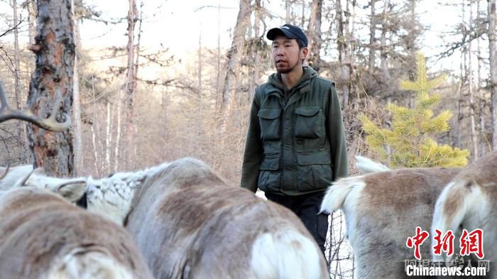 图为古木森和驯鹿在一起。 古木森供图 图为古木森和驯鹿在一起。 古木森供图