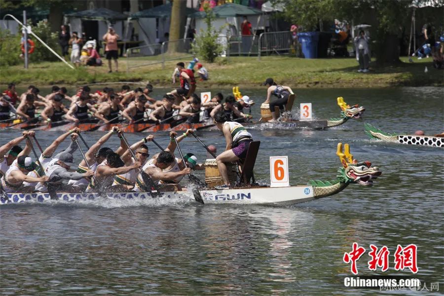 加拿大多伦多龙舟赛。中新社记者 余瑞冬 摄