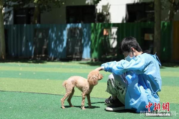 工作人员在室外同宠物狗玩耍。 中新社记者 蒋启明 摄 工作人员在室外同宠物狗玩耍。 中新社记者 蒋启明 摄