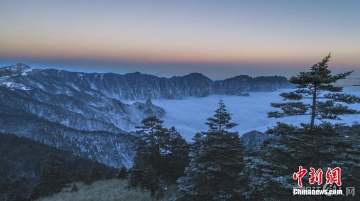 资料图：神农架云海。 薛扬 摄