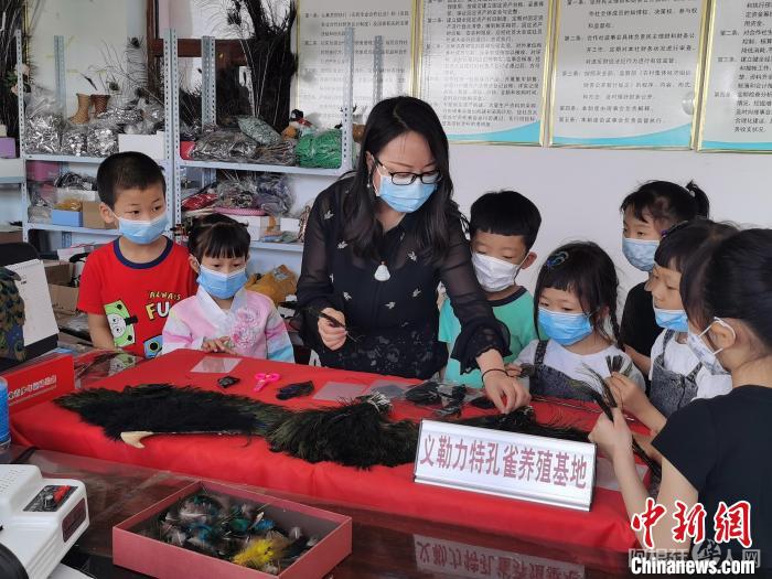 图为周海燕姐妹俩的孔雀养殖基地已经成为研学基地。　周海燕供图