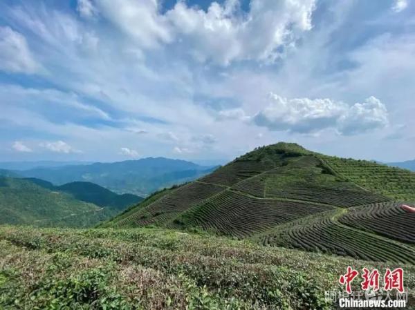 资料图: 浙江丽水缙云的蓝天白云与隐隐青山 项菁 摄 资料图: 浙江丽水缙云的蓝天白云与隐隐青山 项菁 摄