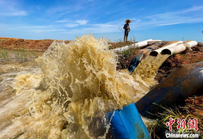 江西省九江市都昌县周溪镇枭阳10号附坝,抽水泵在鄱阳湖取水,经过三级提灌,为坝内五千亩稻田灌溉保苗。 傅建斌 摄 江西省九江市都昌县周溪镇枭阳10号附坝,抽水泵在鄱阳湖取水,经过三级提灌,为坝内五千亩稻田灌溉保苗。 傅建斌 摄