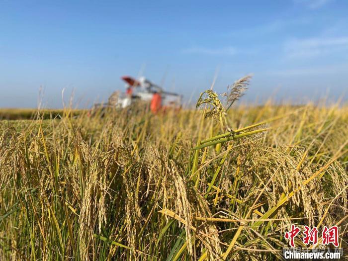 资料图。张玮 摄 资料图。张玮 摄