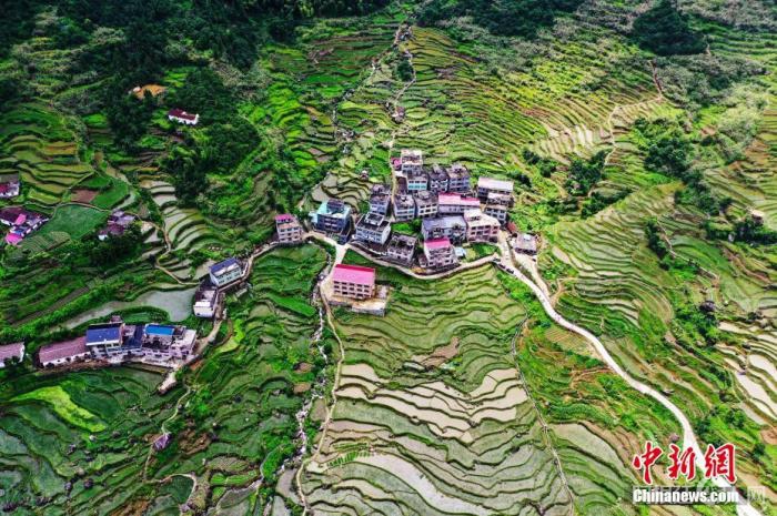 6月27日，航拍位于江西省上饶市广信区望仙乡的葛路梯田，依山而下的梯田及错落有致的民居相互衬托，呈现出一幅夏日田园美景。
刘占昆 摄