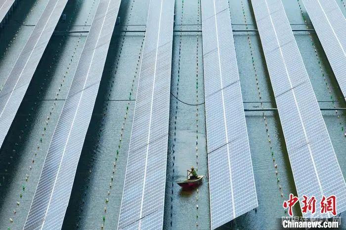 江苏常州“渔光互补”光伏发电，实现经济效益和生态效益双丰收。泱波 摄