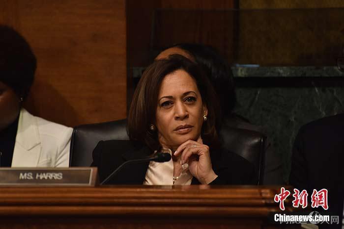 资料图:美国副总统哈里斯。中新社记者 沙晗汀 摄 资料图:美国副总统哈里斯。中新社记者 沙晗汀 摄