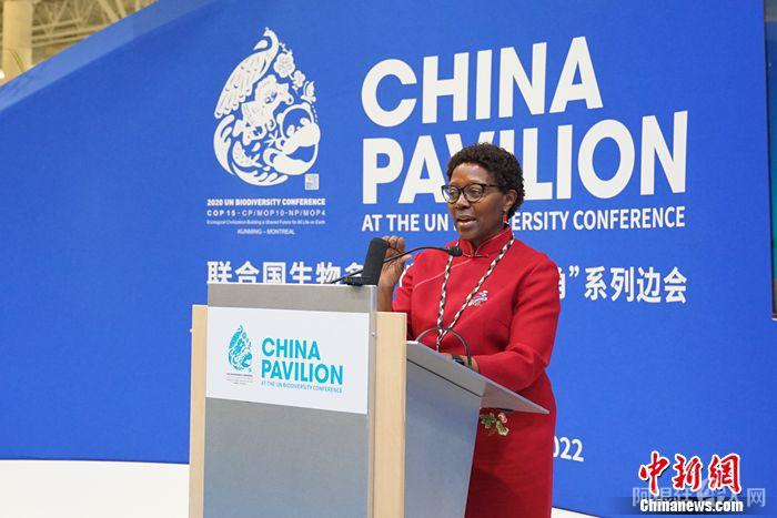 联合国《生物多样性》秘书处执行秘书伊丽莎白·穆雷玛在边会致辞。尹灵 摄 联合国《生物多样性》秘书处执行秘书伊丽莎白·穆雷玛在边会致辞。尹灵 摄