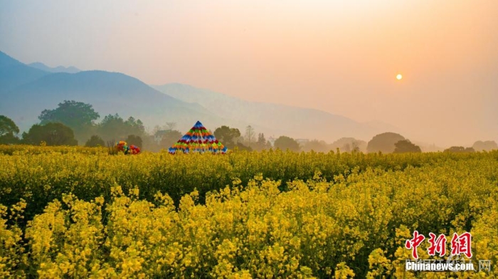 近日,江西吉安万安县宝山乡的高山油菜花海竞相绽放,吸引众多游客踏青赏花。李小明 摄 近日,江西吉安万安县宝山乡的高山油菜花海竞相绽放,吸引众多游客踏青赏花。李小明 摄
