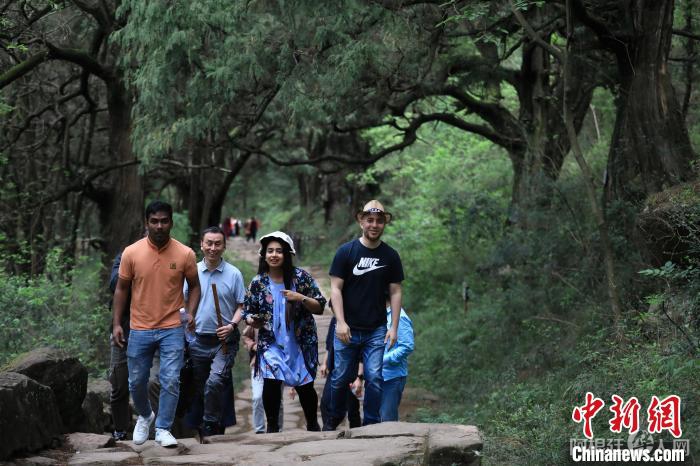 国际媒体人行走在古蜀道上。　王磊 摄