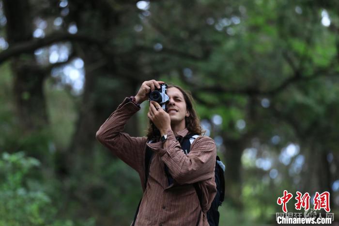 一位国际媒体人拍摄古蜀道两侧的千年古柏。　王磊 摄