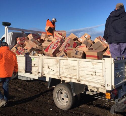 WhatsApp-Image-2023-06-12-at-17.14.32-e1686602758646 WhatsApp-Image-2023-06-12-at-17.14.32-e1686602758646