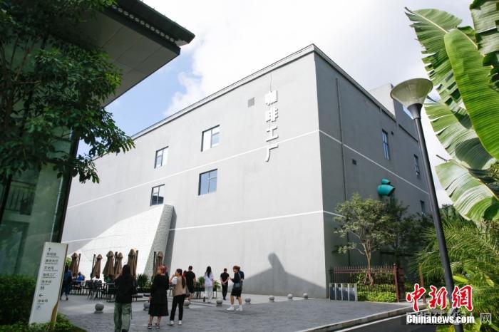 图为采访团一行参观咖啡工厂。 曹淼欣 摄 图为采访团一行参观咖啡工厂。 曹淼欣 摄