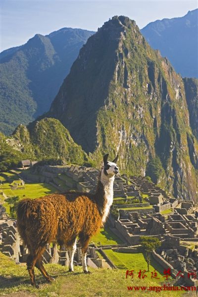 纯净的南美是&ldquo;极好的&rdquo;(1)