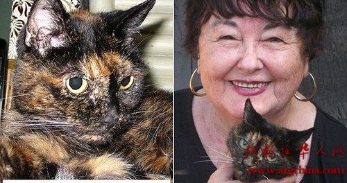 世界最老猫咪庆祝27岁生日约合人类125岁(图)