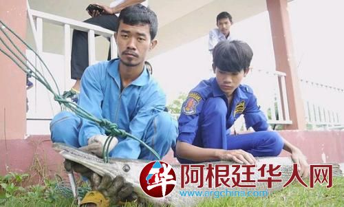 泰国乡村小湖现北美鳄雀鳝 长达1.5米长满利齿