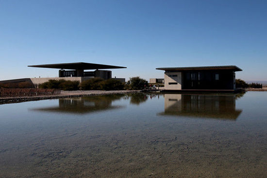 探寻阿根廷葡萄酒真味之旅