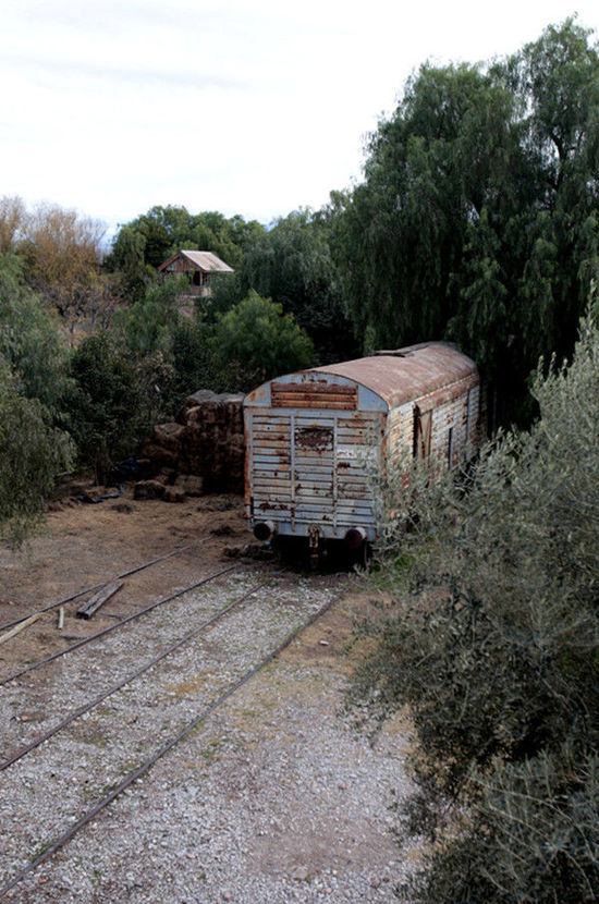 探寻阿根廷葡萄酒真味之旅