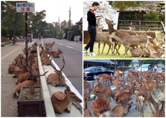 1520508391458825.jpg 698e03e5cfda76711deaa71d8df4214d.jpg