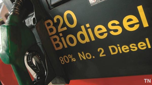 1522826801526157.jpg 31.jpg