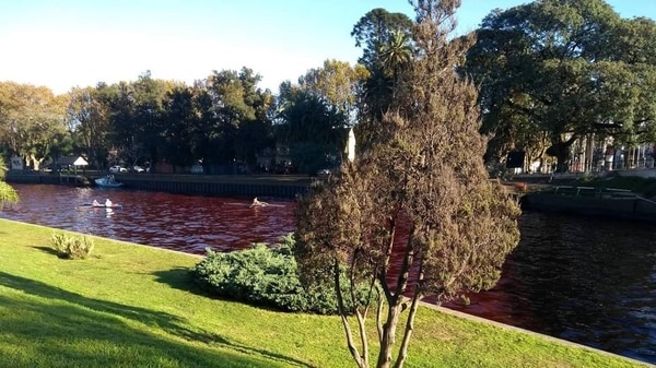 1527389067460319.jpg 11.jpg