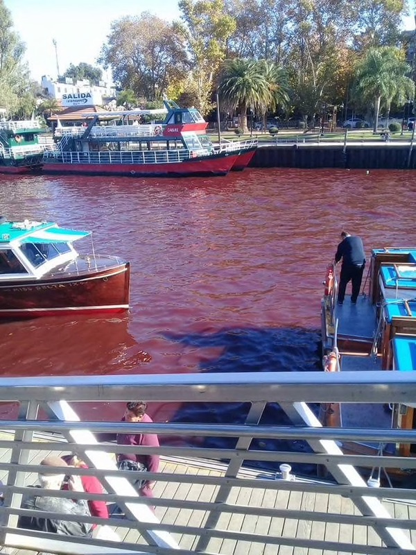 1527389092768901.jpg 22.jpg