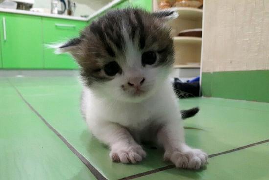 1528195472384808.jpg 2a6e2bf2bdbfcf2faa09c2a95058a3c9.jpg