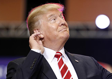 1530020091658066.jpg 20180626083136282.jpg