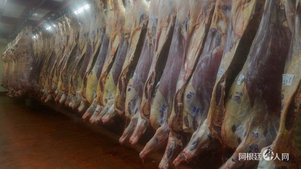 1532425448496482.jpg 41.jpg