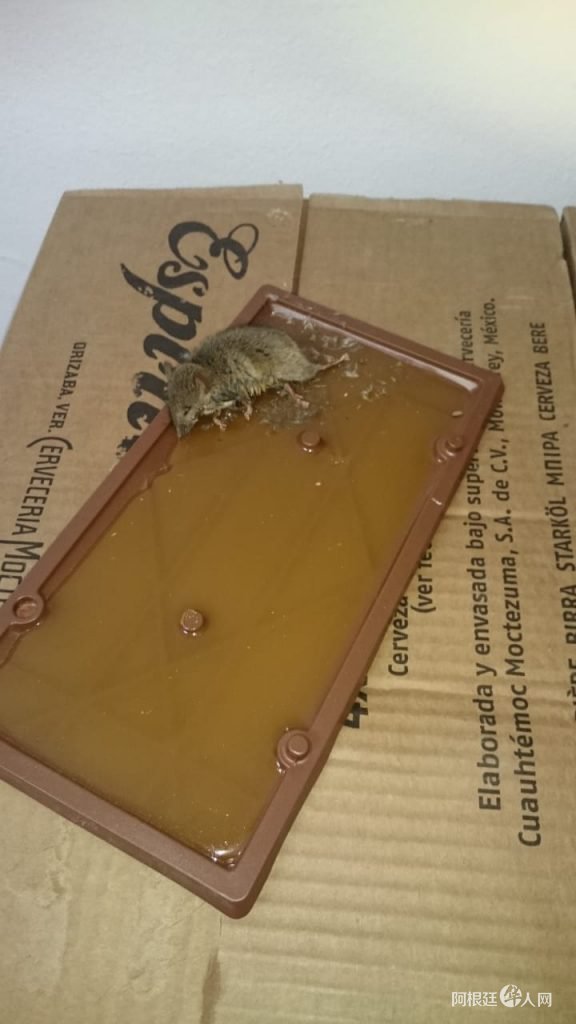 1532480913663518.jpg 12.jpg