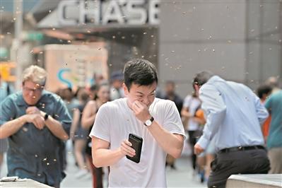 1535629527255900.jpg 83ade6f0833a57743521d2bf28c22238.jpg