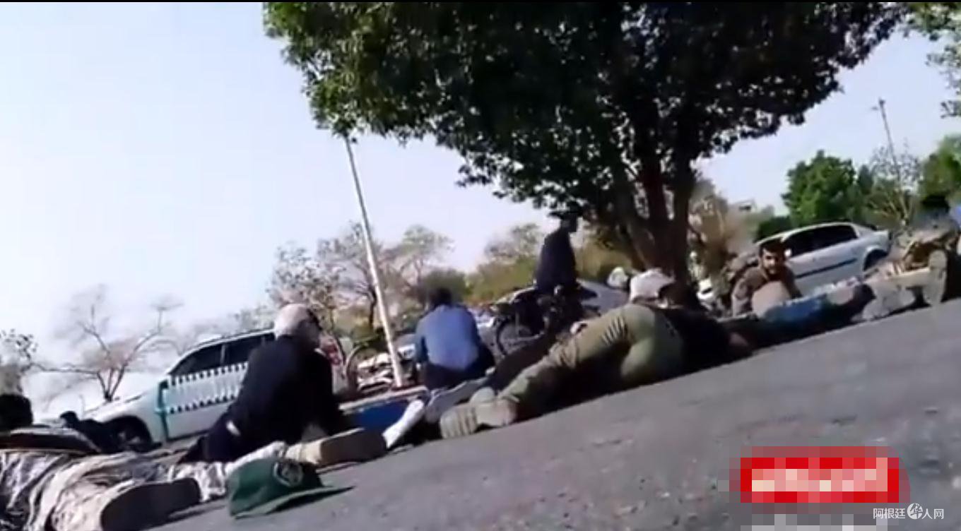 1537622602818262.jpg 3d1cb7d977deaefe5a5e74d20dbd1989.jpg