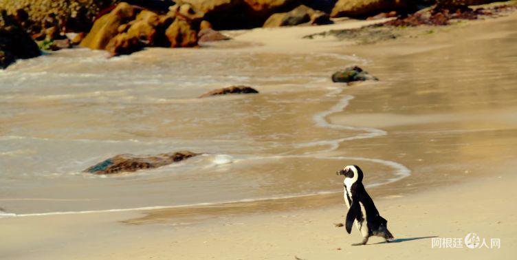 1540640257310071.jpg 0KMUtjrXg1.jpg