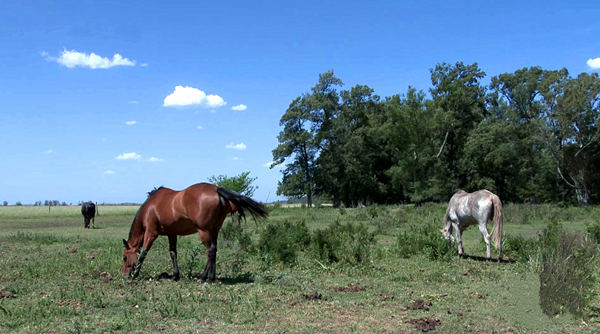 3094642020.png 20181118093403_76832.png