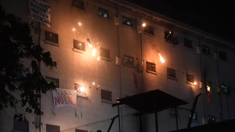 2642822363.jpg 31.jpg