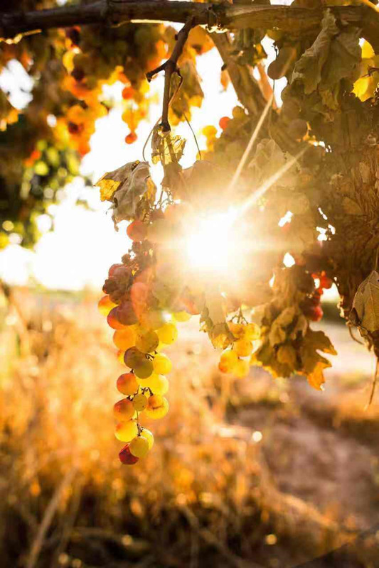 0814238899.jpg 4.jpg