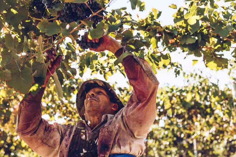 0826923985.jpg 3.jpg