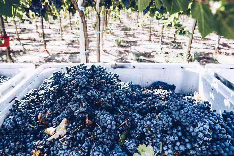 0839060483.jpg 7.jpg