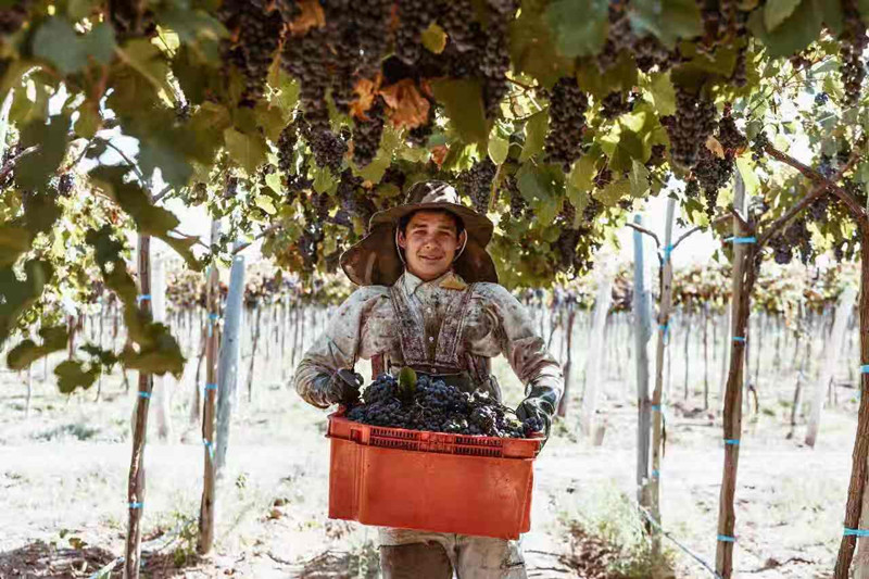 0857527404.jpg 9.jpg