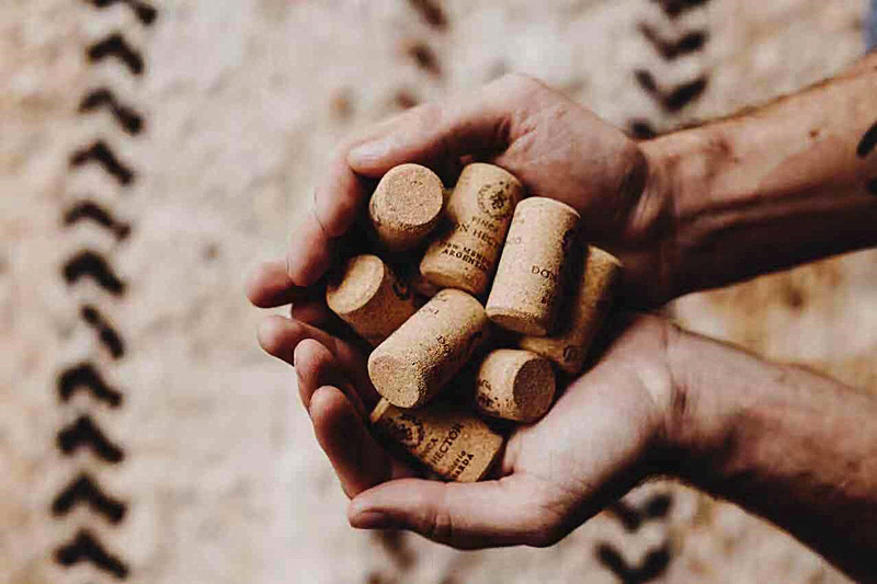 0857544474.jpg 11.jpg