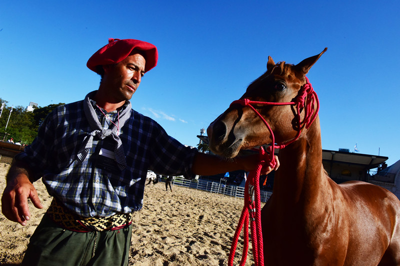 1，高侨人（阿根廷少数民族）与他的马_副本.jpg