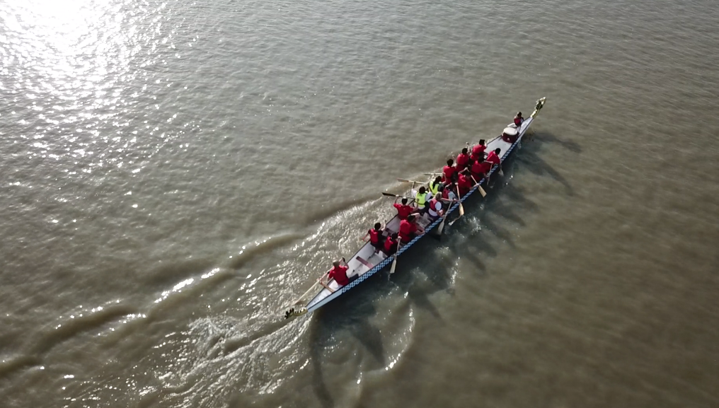 2193648976.png 5.png