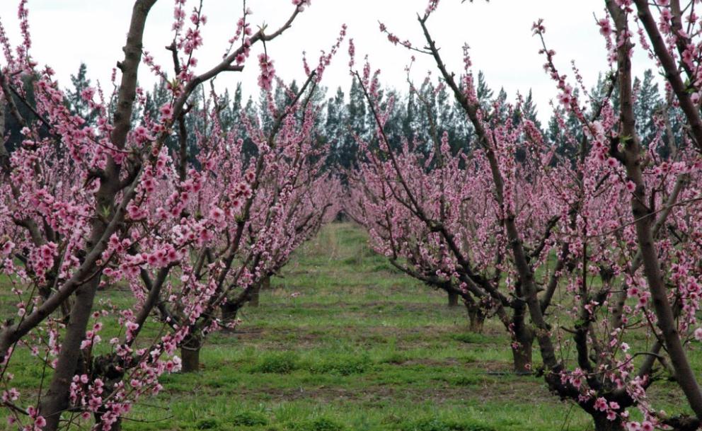 1027077985.jpg 6.jpg